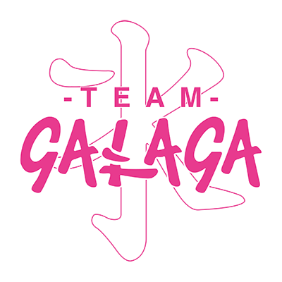 Team Galaga